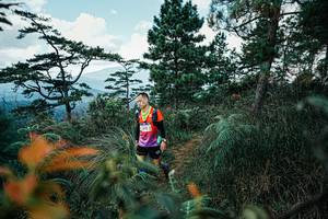 BIB: 
                            <button type="button" onclick="openModal(25260628)" class="btn btn-primary btn-sm float-right btn-popup" data-toggle="modal" data-target=".modal-high-quality">
                        <i class="fas fa-shopping-cart"></i> Add to Cart
                    </button>
                                            <button type="button" onclick="isThisMe(25260628, true)" class="btn btn-success btn-sm float-right btn-popup btn-isme hidden" data-toggle="tooltip" data-placement="bottom" title="นี่คือรูปของคุณใช่ไหม คลิกที่นี่เพื่อเอาเข้าอัลบั้ม">
                        <i class="fas fa-plus"></i> Add to album
                    </button>
                    <button type="button" onclick="isThisMe(25260628, false)" class="btn btn-warning btn-sm float-right btn-popup btn-isnotme hidden">
                        <i class="fas fa-ban"></i> Remove from album
                    </button>